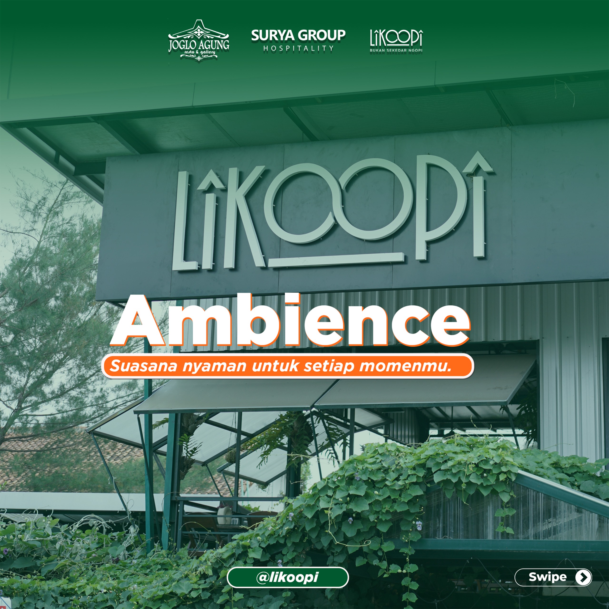 WhatsApp Image 2025-01-04 at 12.17.01